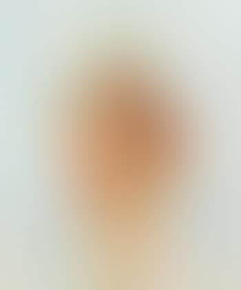 Portrait of a lady , (preview)
