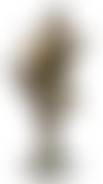 Woman Dancer ,
1988 (preview)