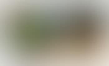 Nature morte, pommes, boite, boite du peintures ,
1984 (preview)