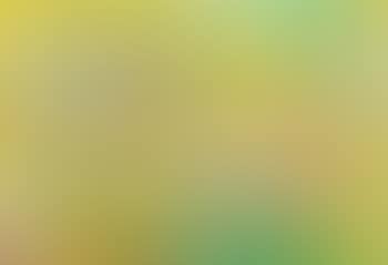 Composition ,
1973 (preview)