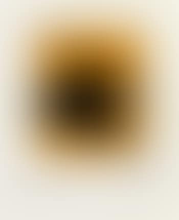 Gesture I (State I) ,
1976
-
1977 (preview)