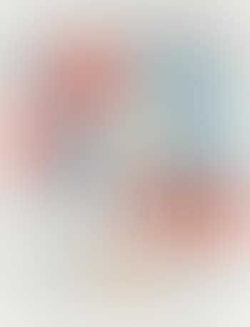 Last Civil War Veteran ,
1979
-
1980 (preview)