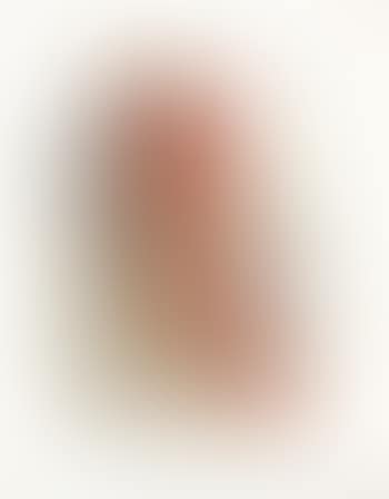 Virgil's admonishment ,
1964 (preview)