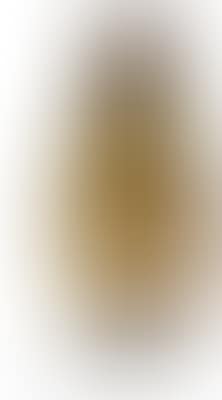 A tall oval shaped cameo vase , (preview)