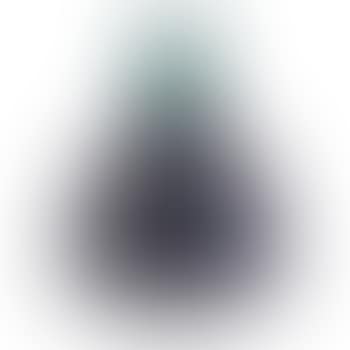Basilissa vase ,
1977 (preview)