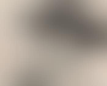 [Untitled] , (preview)