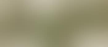 Study of sparrows , (preview)