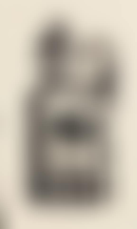 Bote ,
1993 (preview)