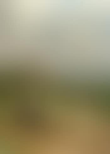 Morgen Am Gebirgssee , (preview)