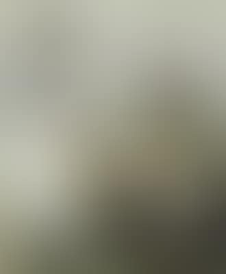 Fresh garfish (hornfisk) for sale , (preview)