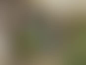Two little girls in front of a thatched farm , (preview)