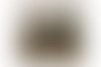 Study of a Bay Gelding, in a Landscape , (preview)