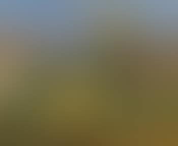 Late summer sunshine , (preview)