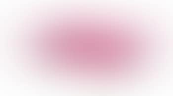 Table rose ,
1961 (preview)