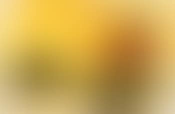 Composicion , (preview)