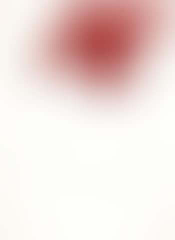 Untitled ,
1971 (preview)