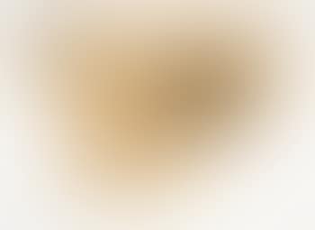 Untitled ,
1976 (preview)