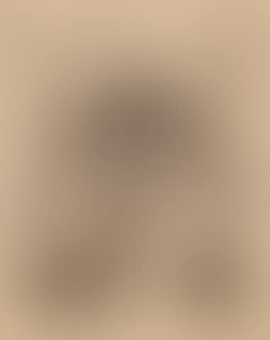 Autoportrait au chat (preview)