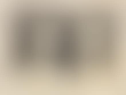 Figure (preview)