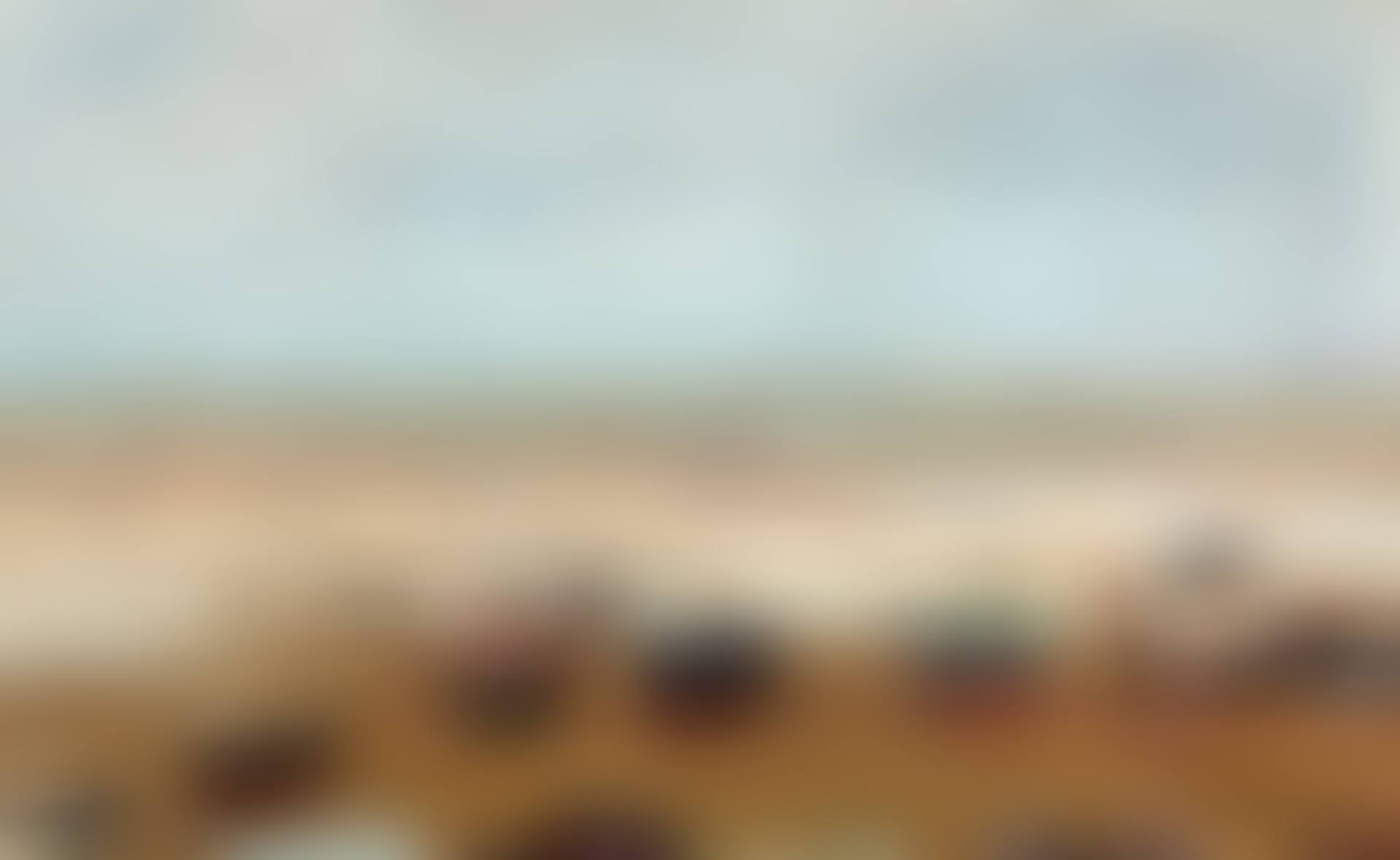 TARDE TORMENTOSA (STORMY AFTERNOON) (preview)