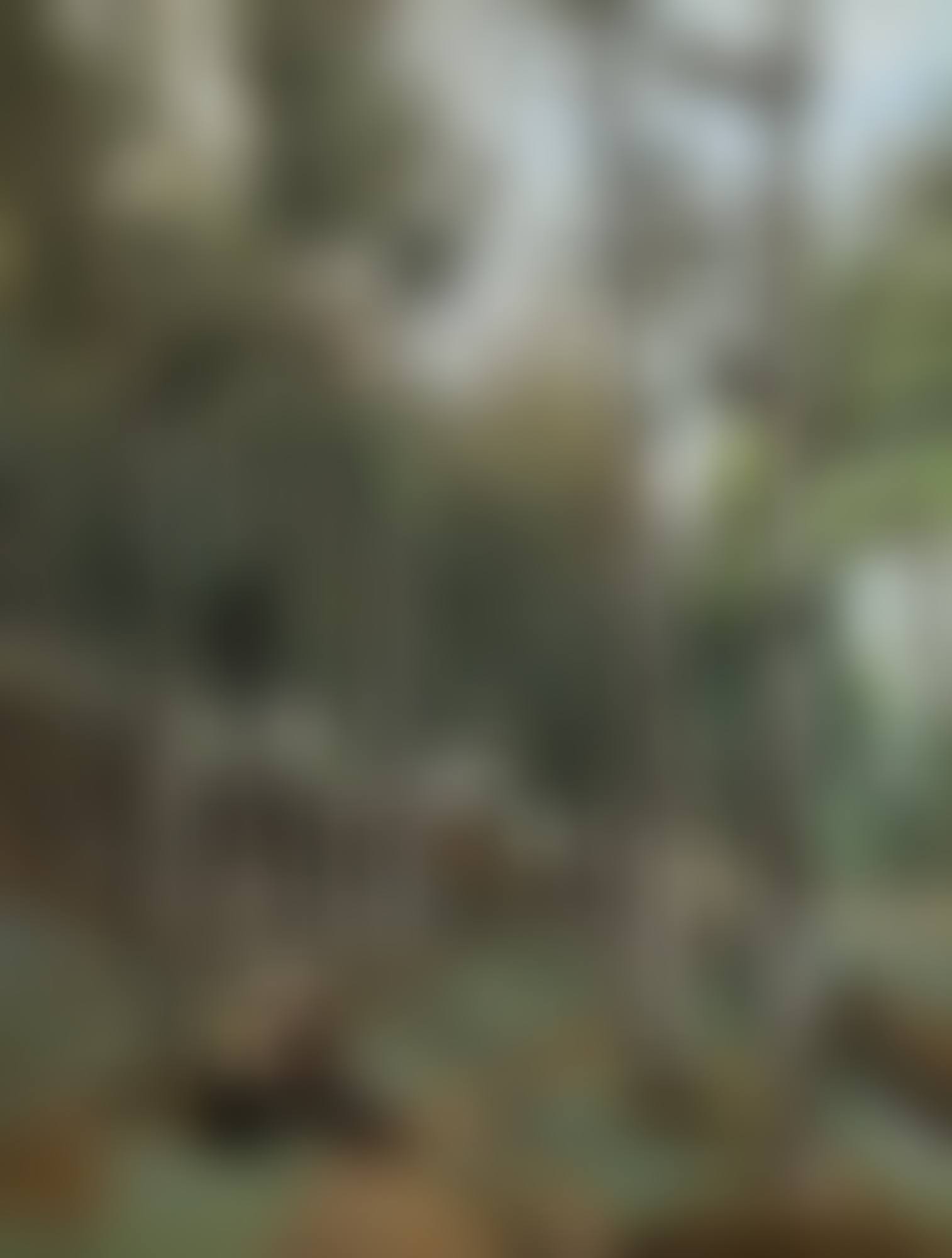 PAYSAGE BRETON (preview)