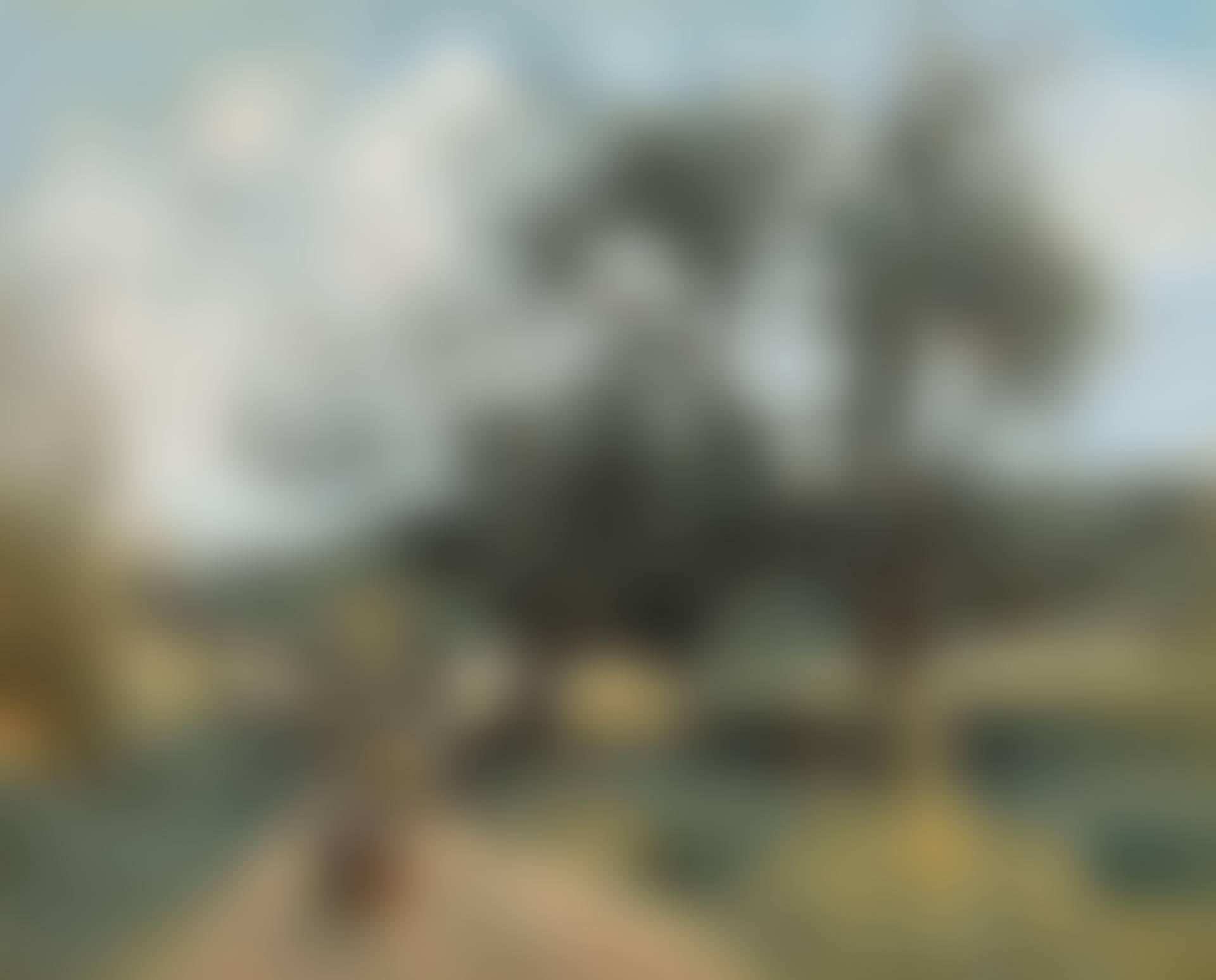 MARCOUSSIS, ROUTE À TRAVERS LES CHAMPS (preview)
