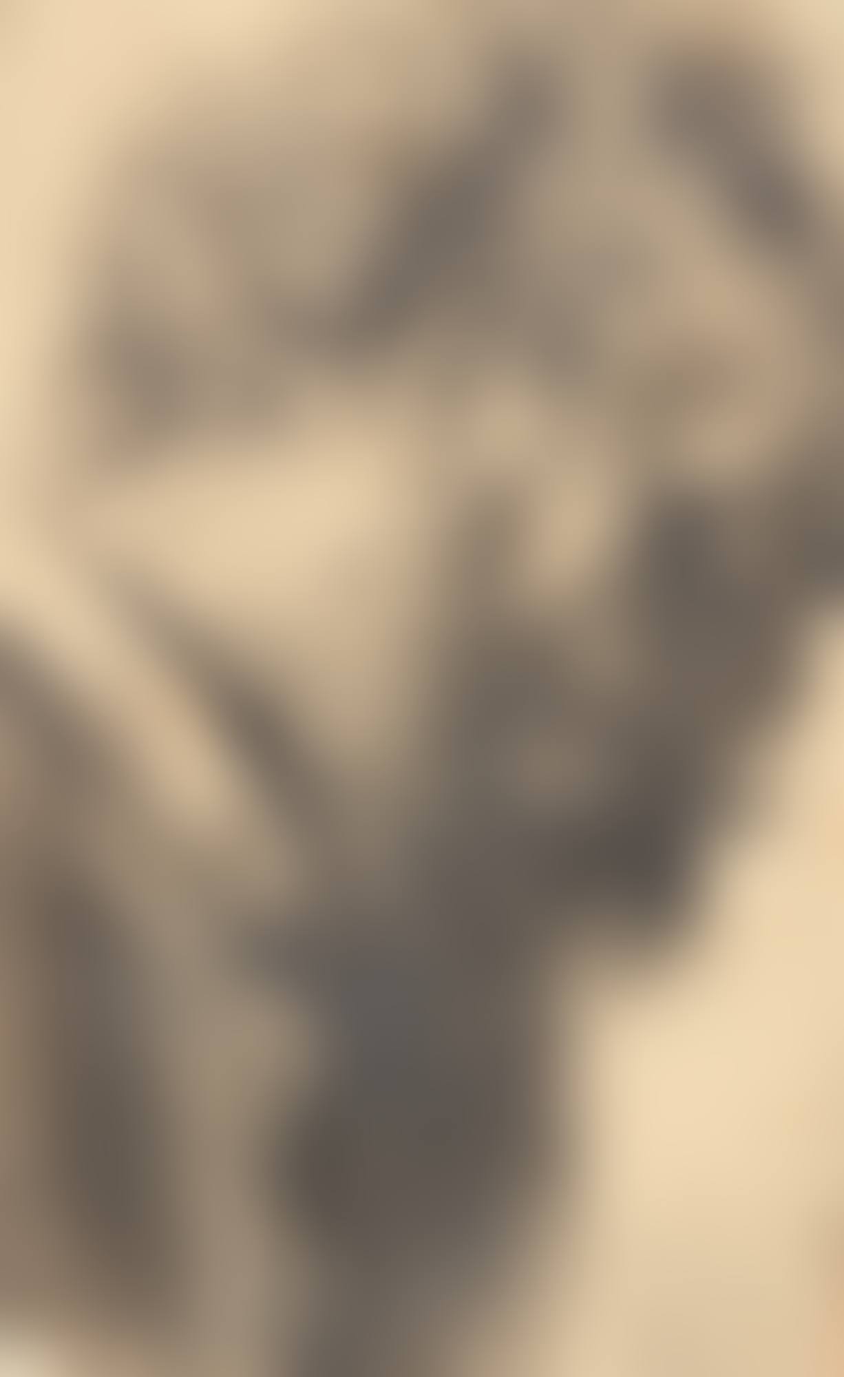 HEAD OF A BEARDED MAN (preview)