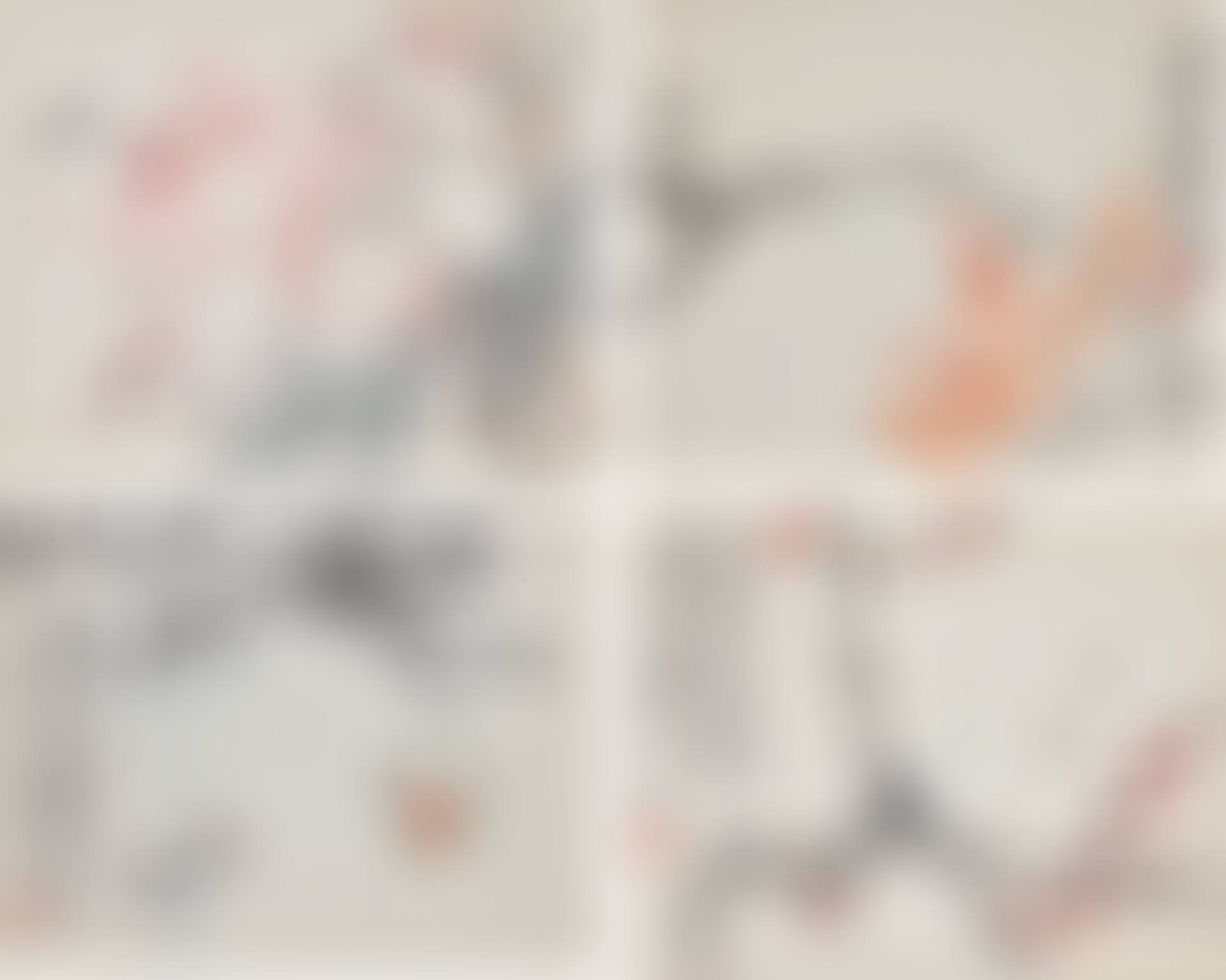 FLOWERS AND INSECTS (preview)