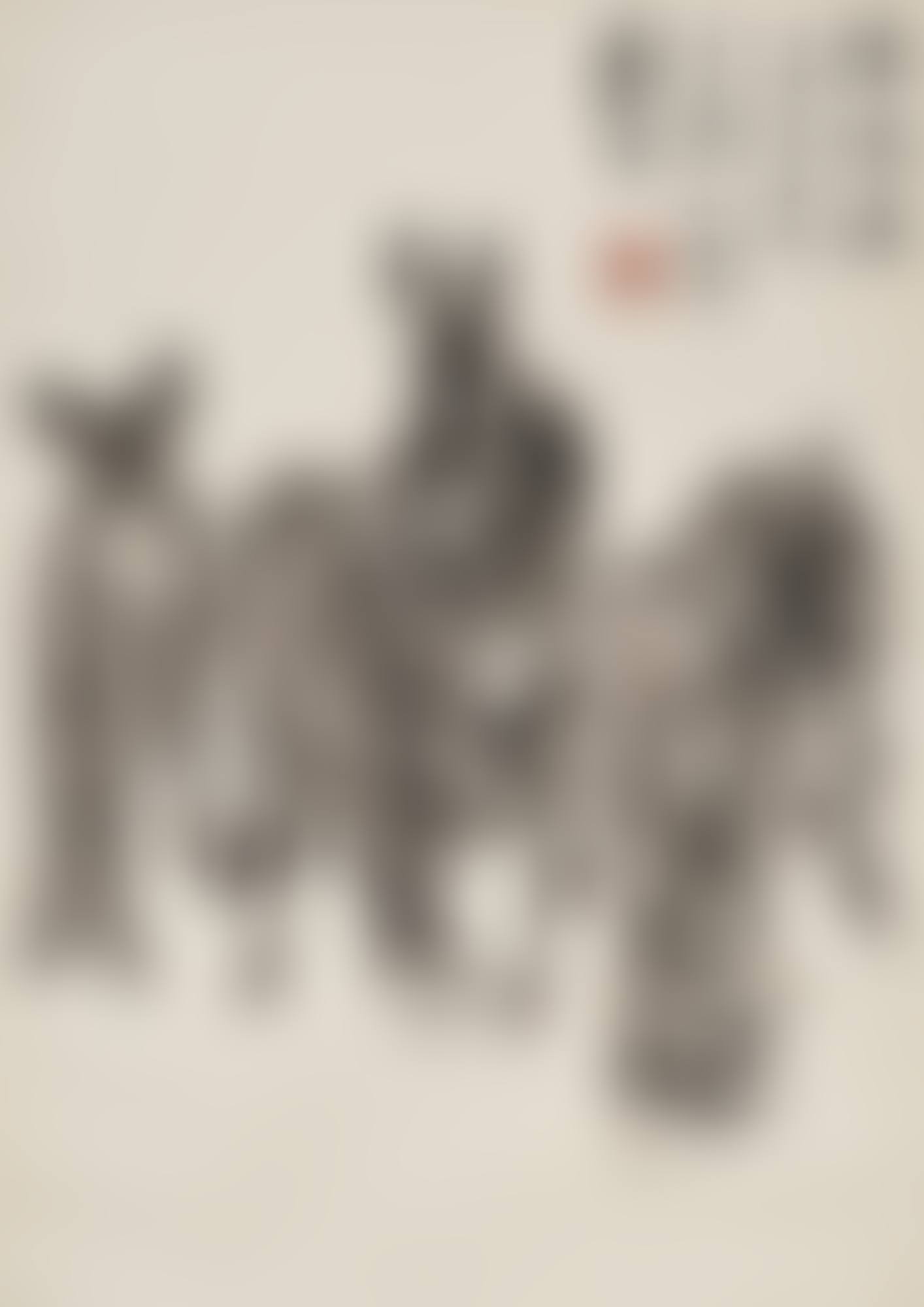 FIVE DONKEYS (preview)