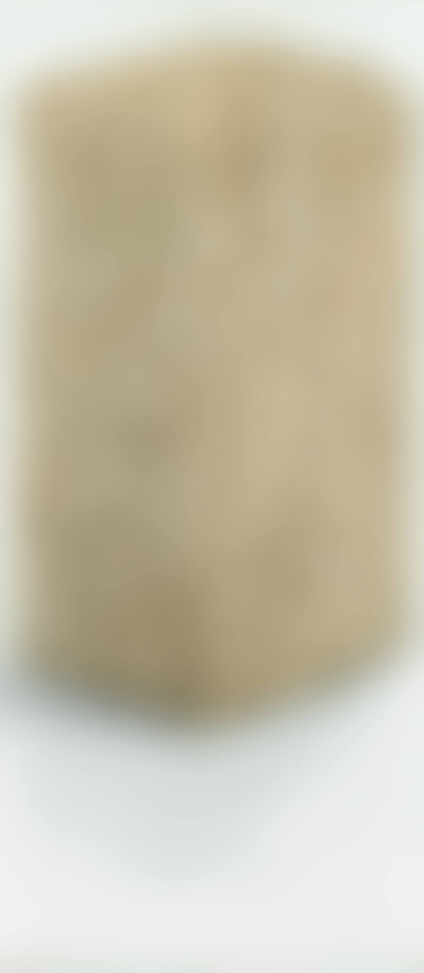 PORTRAIT DE COMPRESSION (preview)