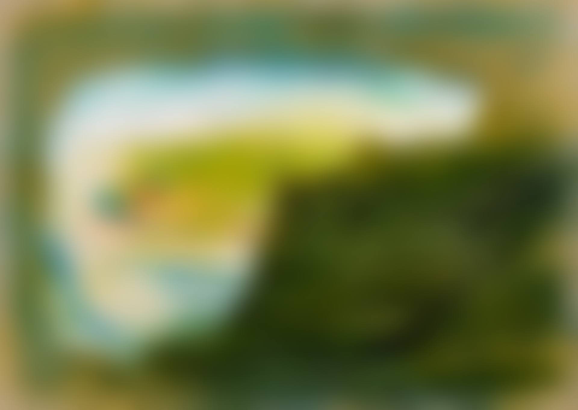 UNTITLED (preview)