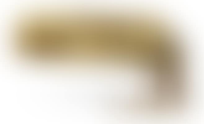 Homme de Villetaneuse (preview)