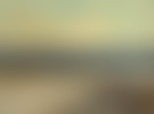 Bords de la Mer, Palavas (preview)