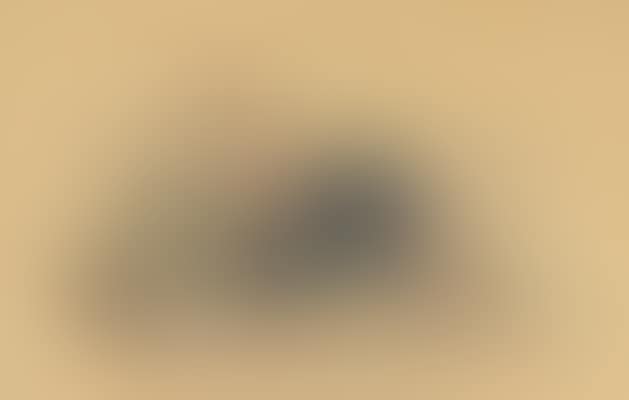 A Berber seated on a low couch (preview)