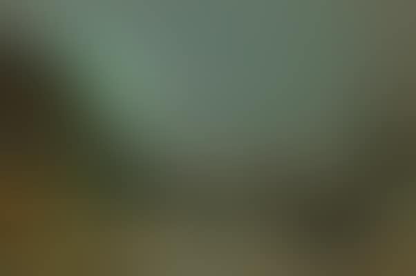 Liverpool Lights (preview)