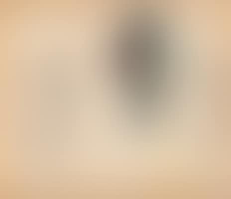 Study of three women (preview)