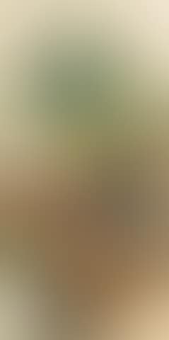 Autumn Landscape (preview)