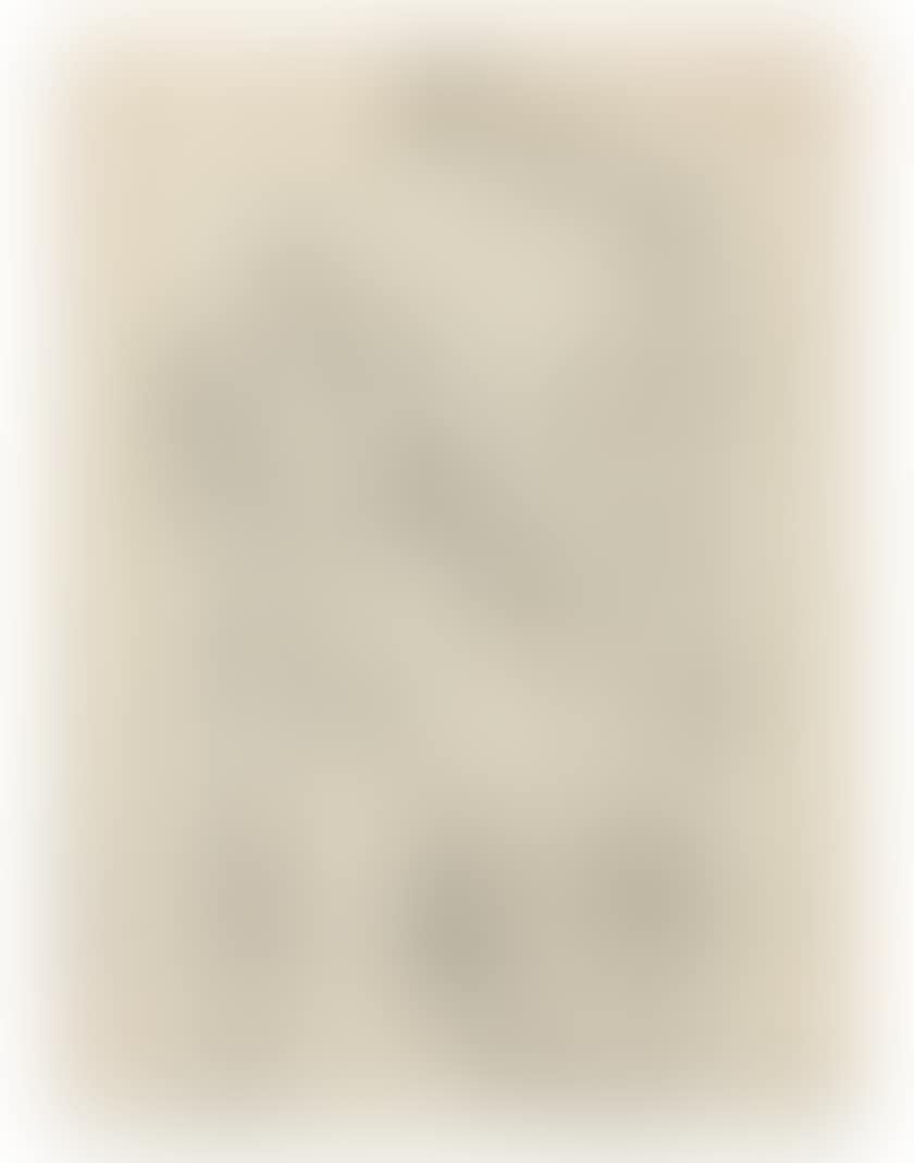 Two Giants (preview)