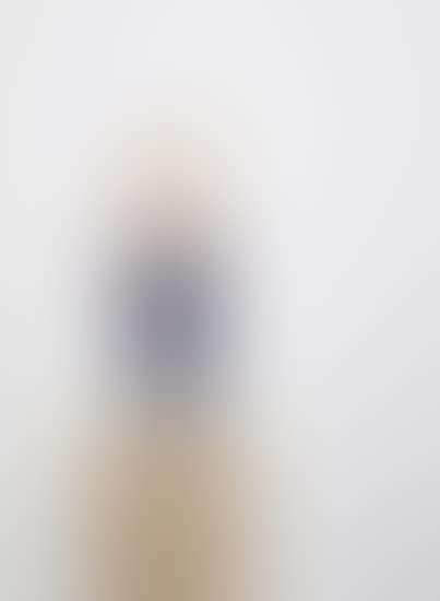 Mann mit grauen Haaren (preview)