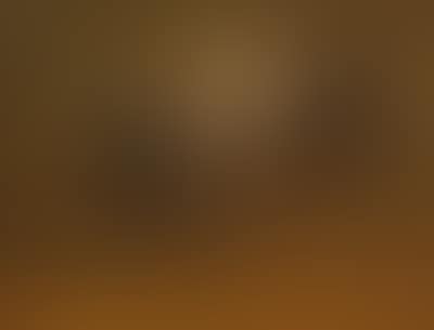 Grazing cattle (preview)