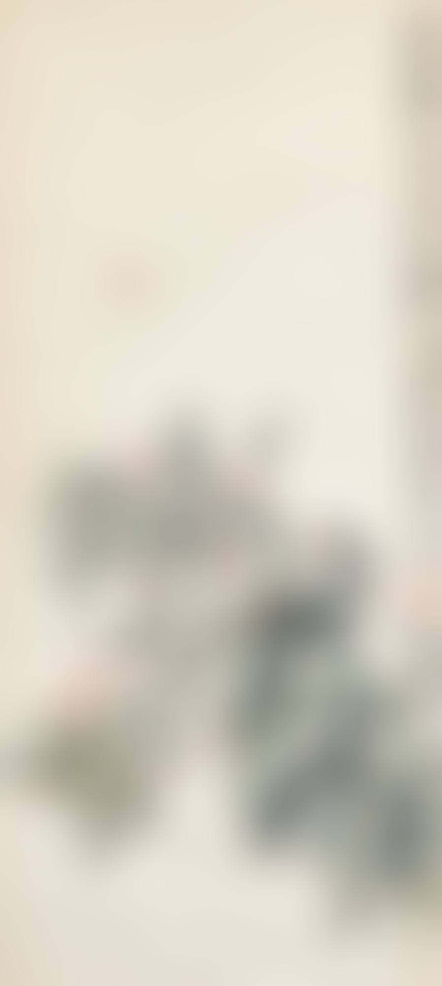 Fleurs et libellule (preview)