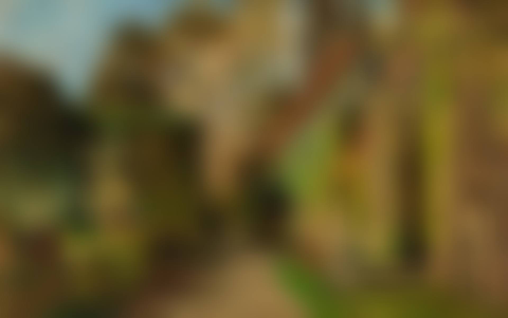 A MEDITERRANEAN GARDEN (preview)