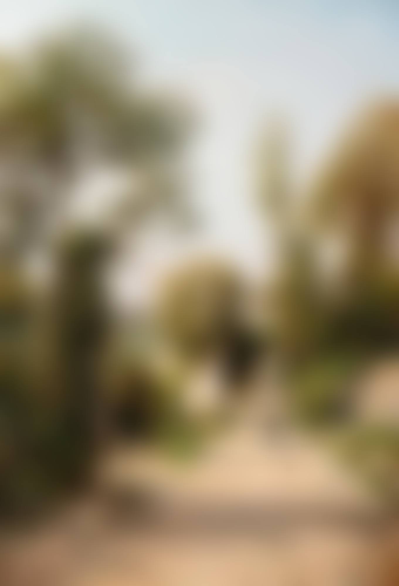 LANDSCAPE IN SOUTH TYROL (preview)