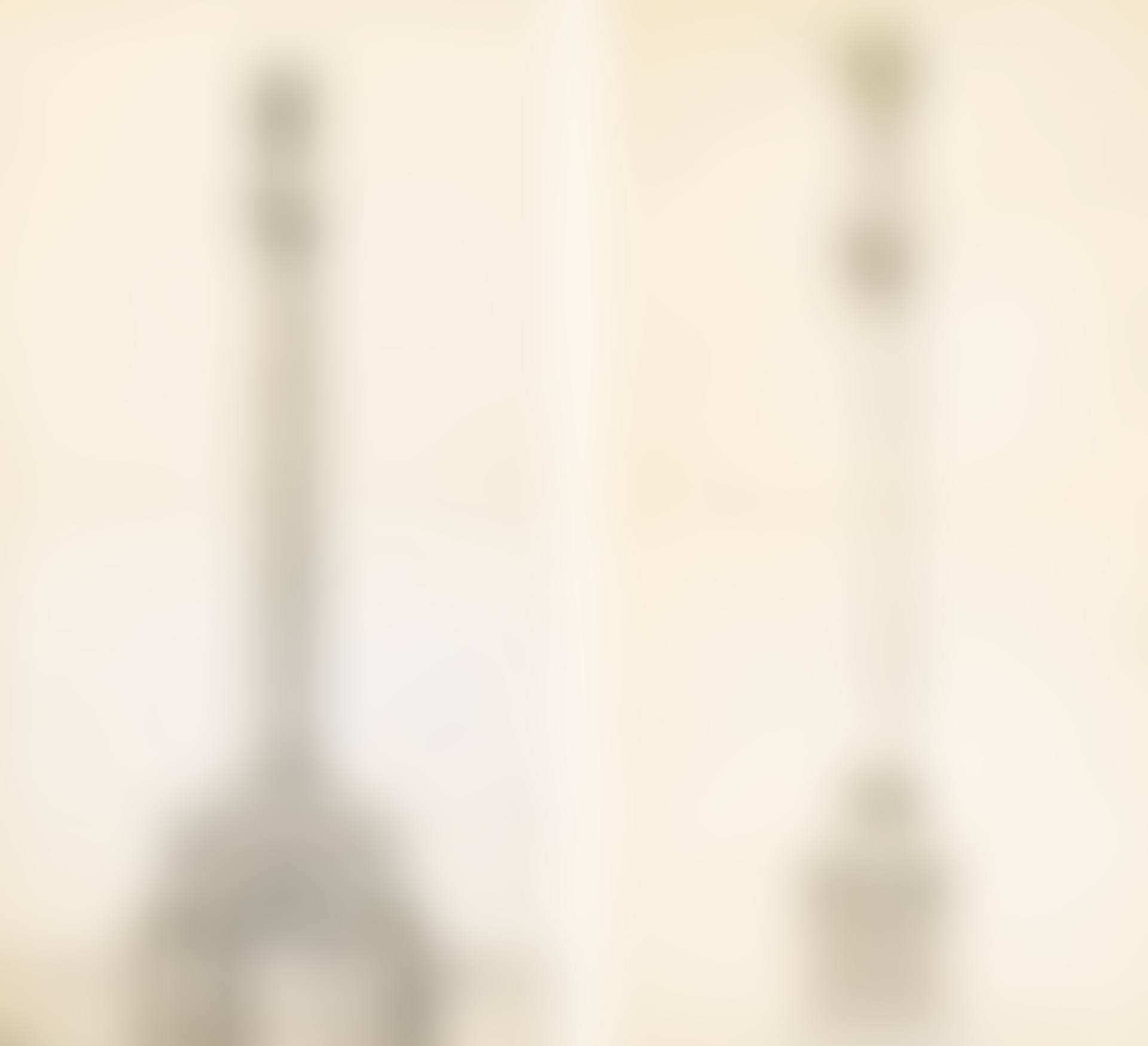 PROJECTS FOR NATIONAL COLUMN (preview)