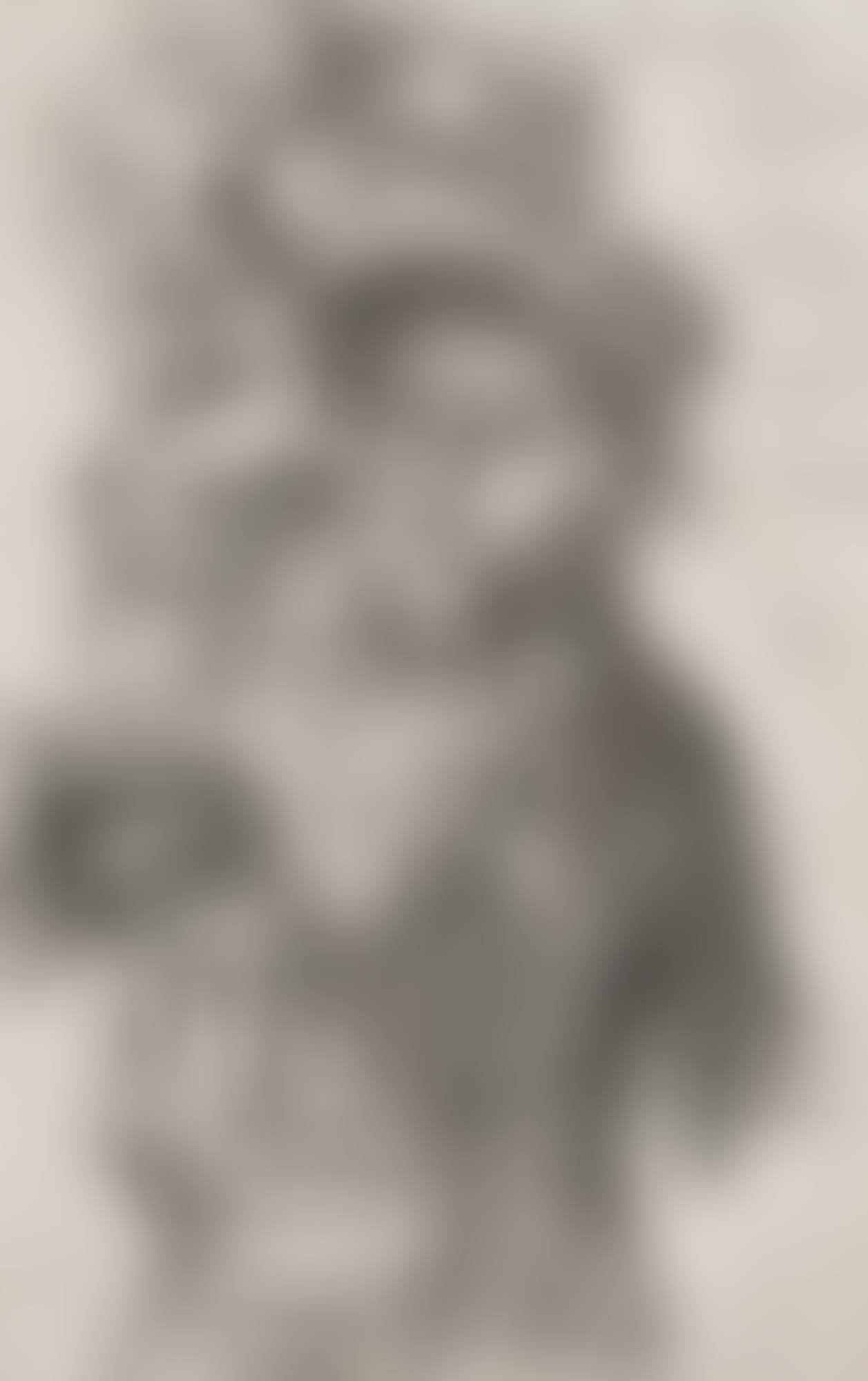 PORTRAIT OF A YOUNG LADY (preview)
