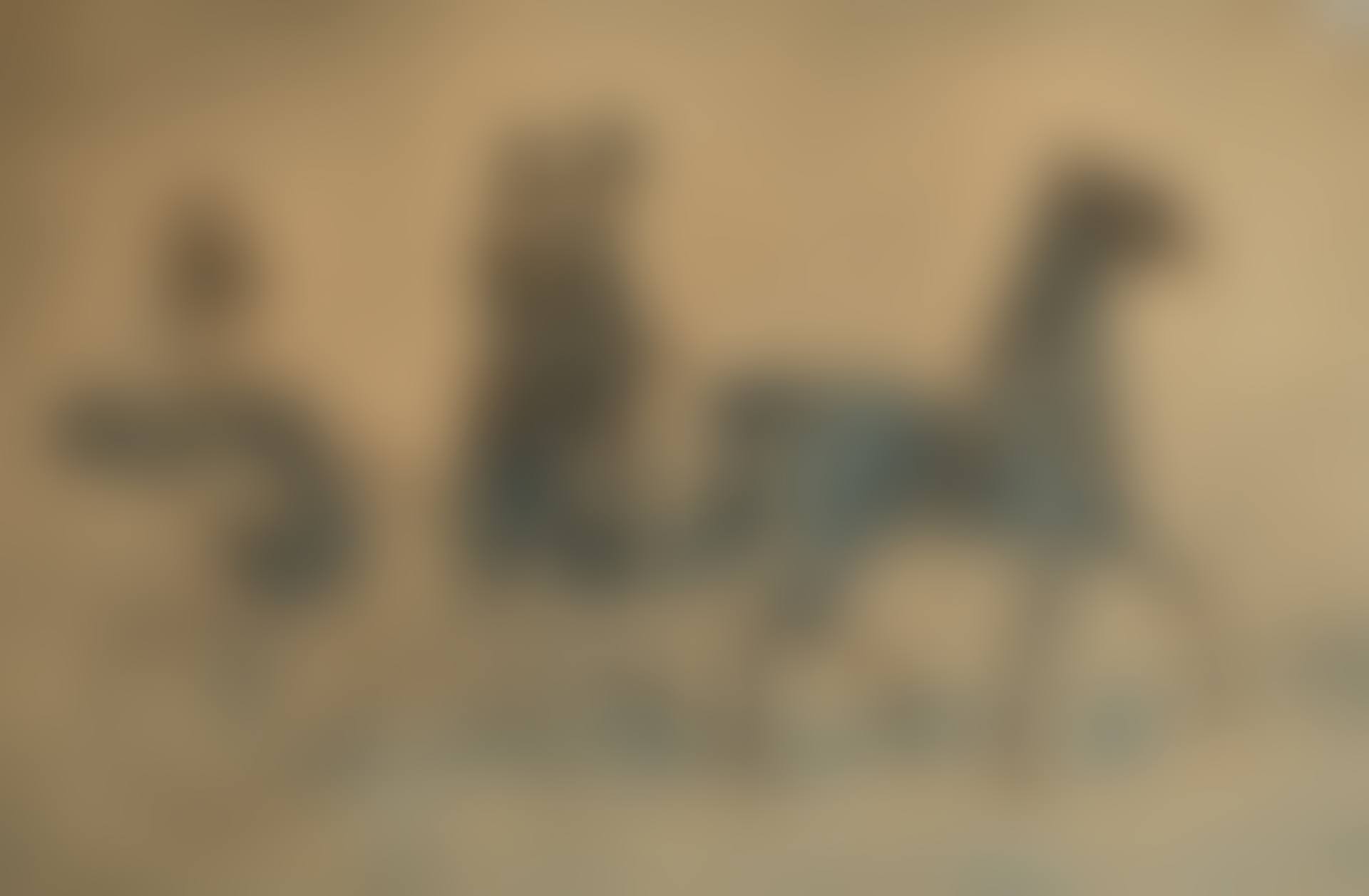 THE CARRIAGE (preview)