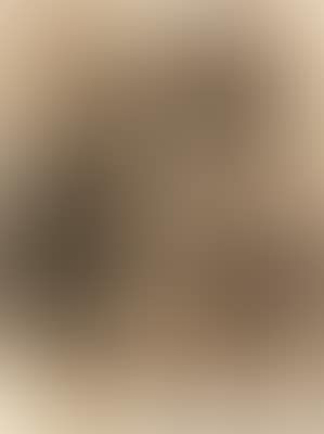 Untitled (preview)
