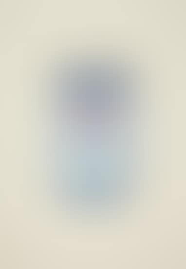 Soup Can (Original) (preview)