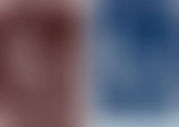 Doppelprofil (Double Profile); and Doppelprofil (Double Profile) (preview)