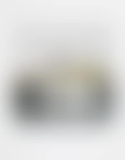 Toaster: Deluxe Study XII (preview)